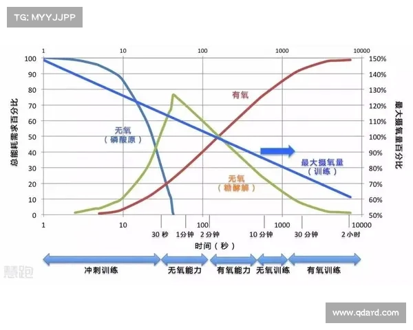美国跑步赛事数量深度解析揭秘究竟有多少场活动举办